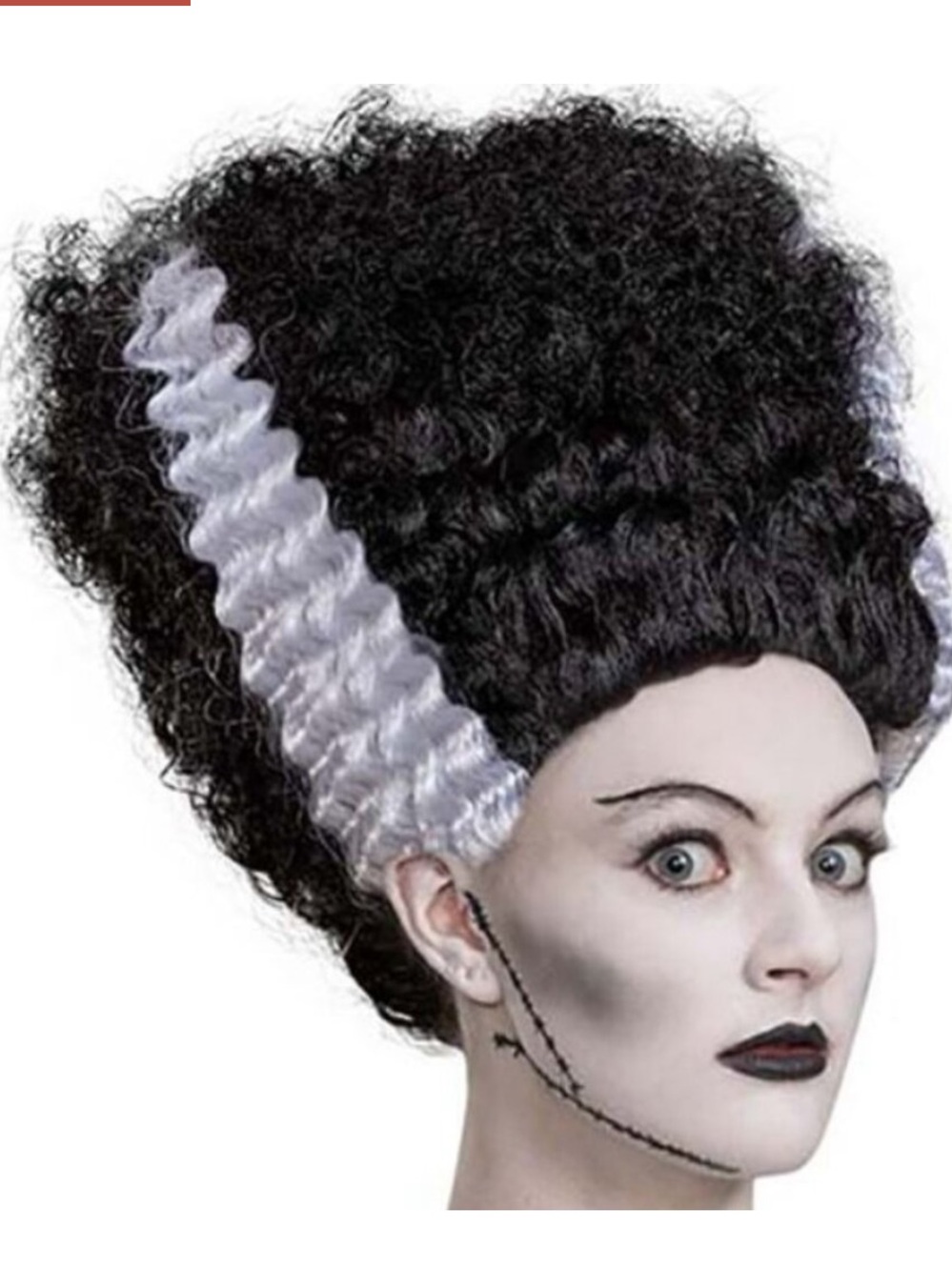 Bride of Frankenstein Wig universal monsters NEW Halloween costume black white